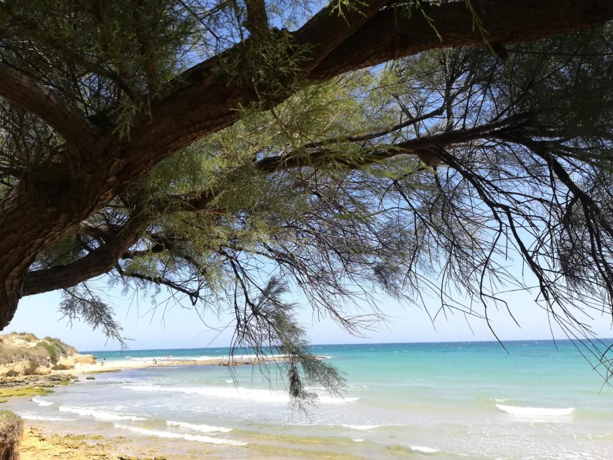 Tra Vento E Mare Apartment Lendinuso Екстериор снимка