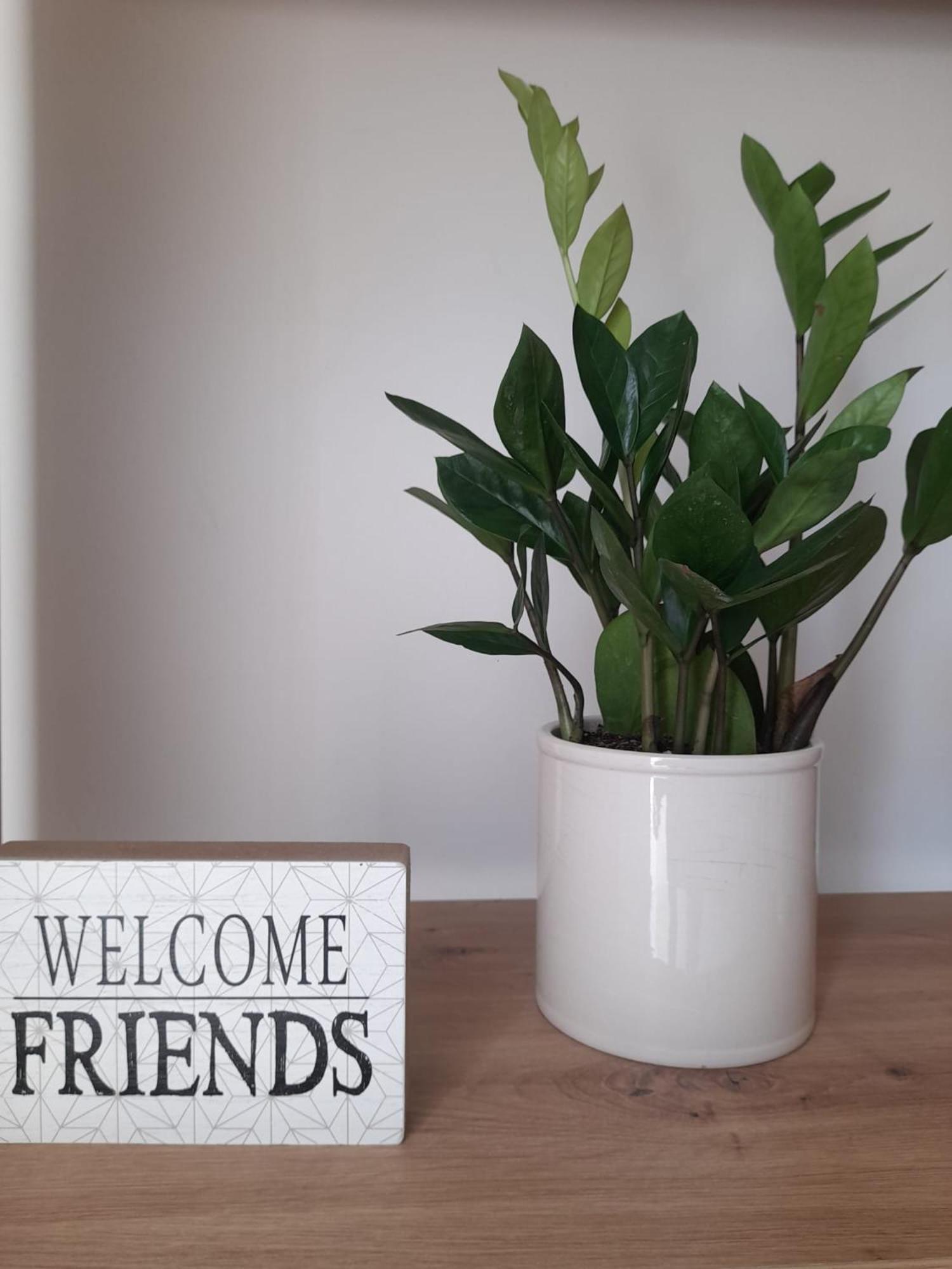 Tra Vento E Mare Apartment Lendinuso Екстериор снимка